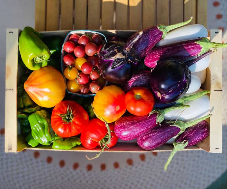 Les aliments à consommer cet été